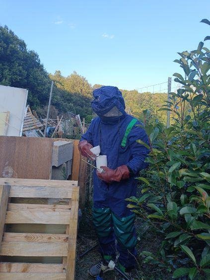 Technicien Dezinsect Corse en intervention de destruction de nid