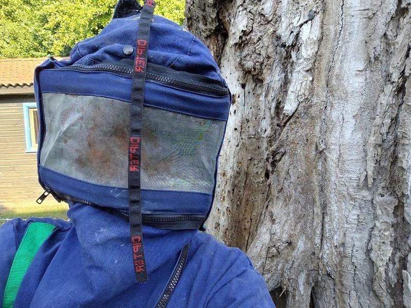 Intervention en tenue de protection intégrale contre un nid de frelons