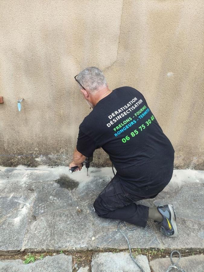 Technicien Dezinsect Corse réalisant une injection anti-termites en quinconce sur un mur